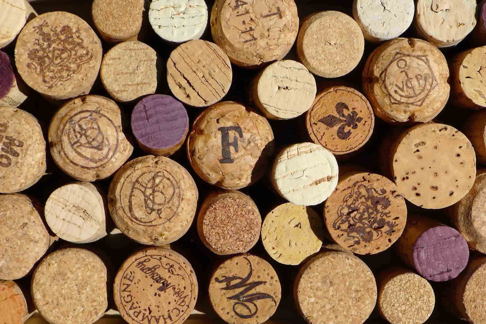 🚢 Journey Around the World in 24 Questions – How Well Can You Score? Corks