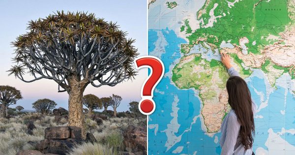 Only A Geography Genius Will Score 80/100 In This Monster Quiz