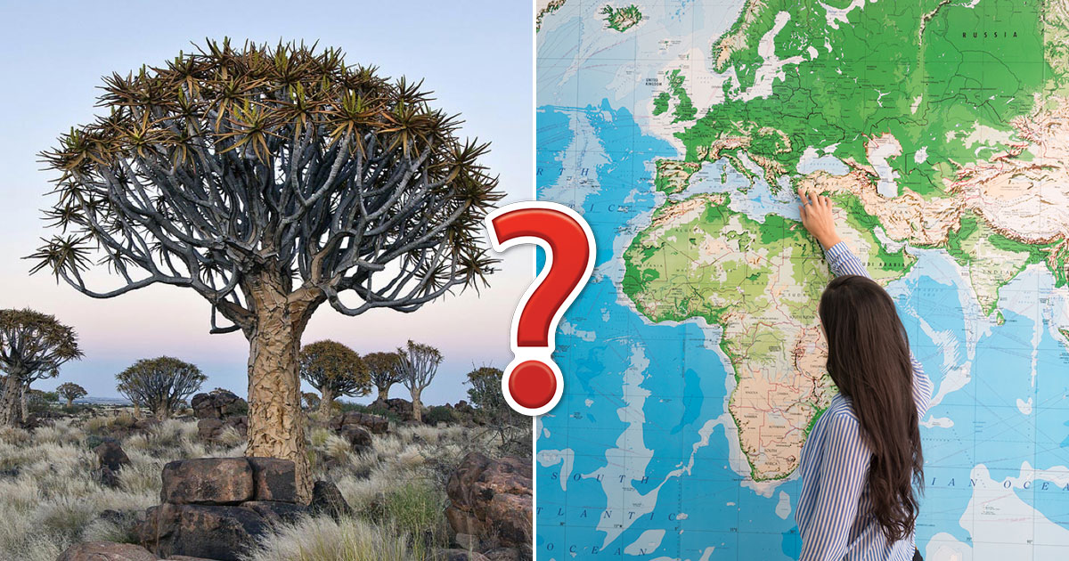 You're Likely Genius If You Find This 24-Question Geography Quiz Easy
