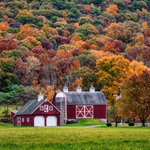 Which Winter Comfort Food Are You? Quiz Rustic countryside inn