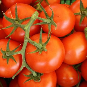 Sandwich Best Quality Quiz Tomato
