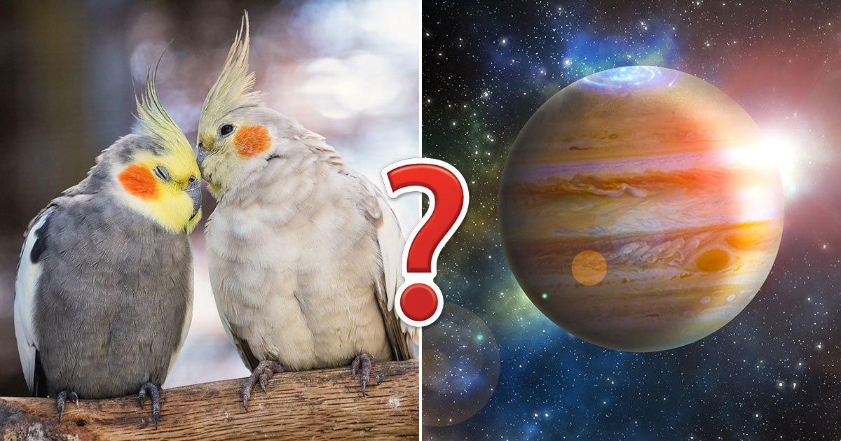 This Science Quiz Will Be Extremely Hard for Everyone Except Those With Seriously High IQ