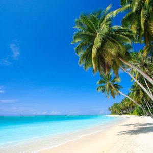 This Travel Quiz Is Scientifically Designed to Determine the Time Period You Belong in Funafuti, Tuvalu
