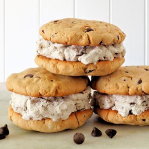 I Will Use AI to Figure Out 🐶 What Pet Suits You Based on the 🍔 Food You Like Ice cream sandwich