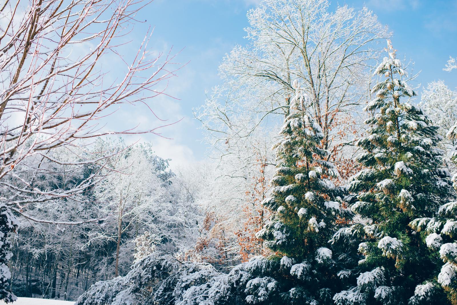 You got: Winter! Eat at a Global Food Extravaganza to Determine the Season That Best Represents You