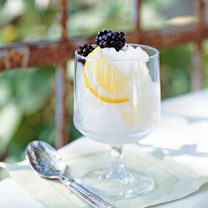 Have Fun Choosing Cold Desserts To Know What % Cold-Hea… Quiz Mint Sorbet with Fresh Blackberries