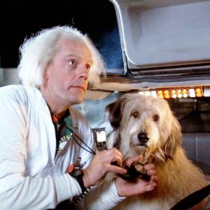 Can You Match Fictional 20 Cats To Their Movies? Quiz Back to the Future