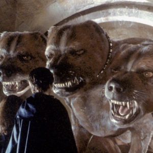 Rare Patronus Quiz Magical beings with multiple heads, each with its own personality