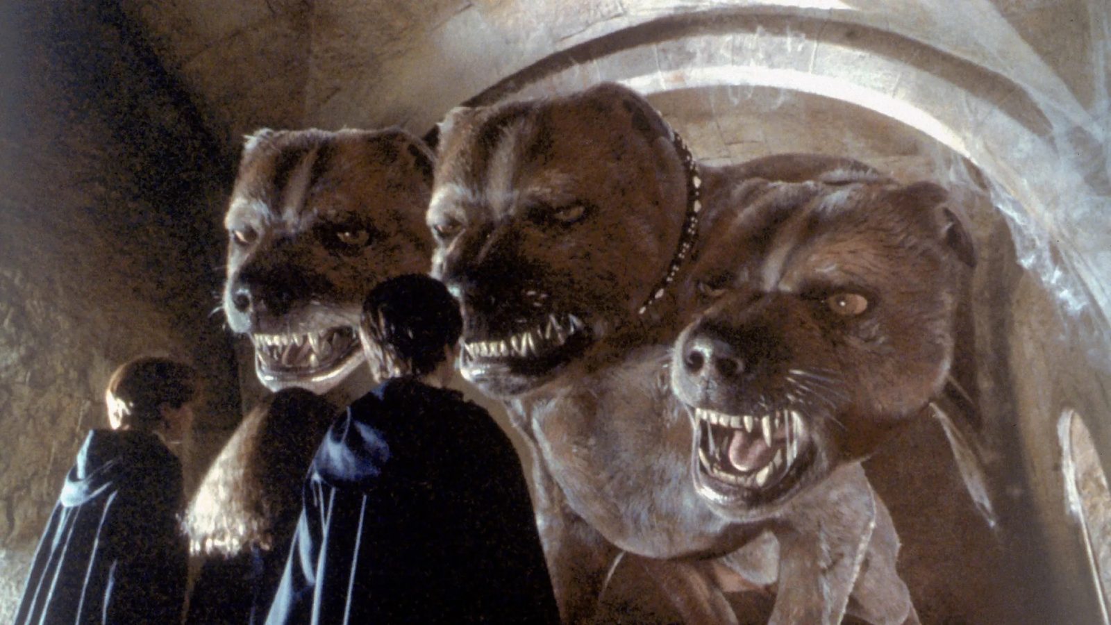 Harry Potter Magical Creatures Quiz Harry Potter Fluffy