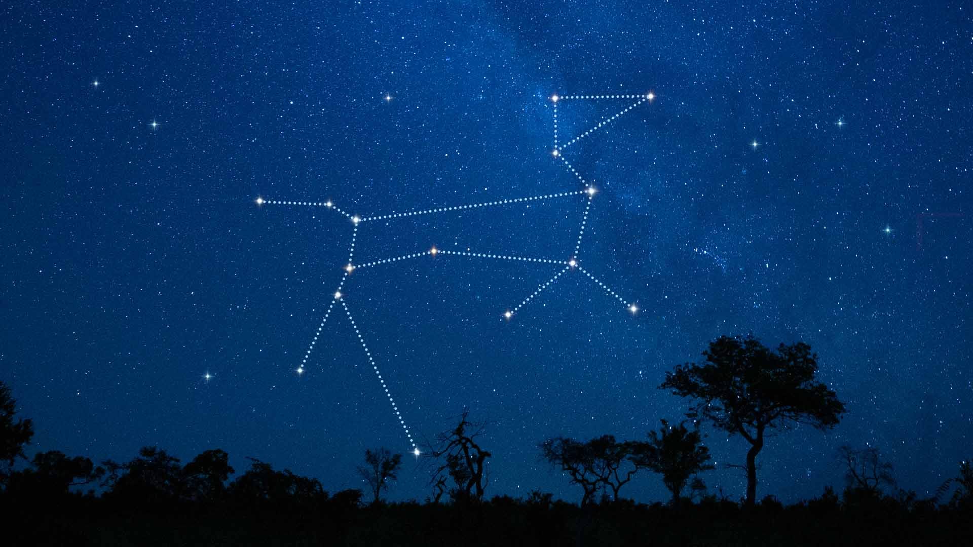 We’ve Gone to the Dogs! 🐕 Can You Ace This 20-Question Dog Quiz? Canis Major constellation stars