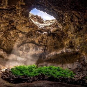 Embark On Epic Prehistoric Quiz Adventure & Uncover Your Primitive Alter Ego Curling up in my cozy cave until I feel better