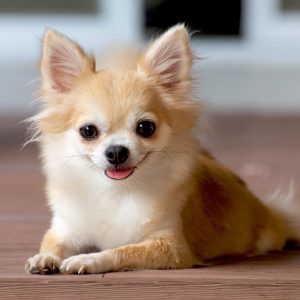 March Trivia Quiz 