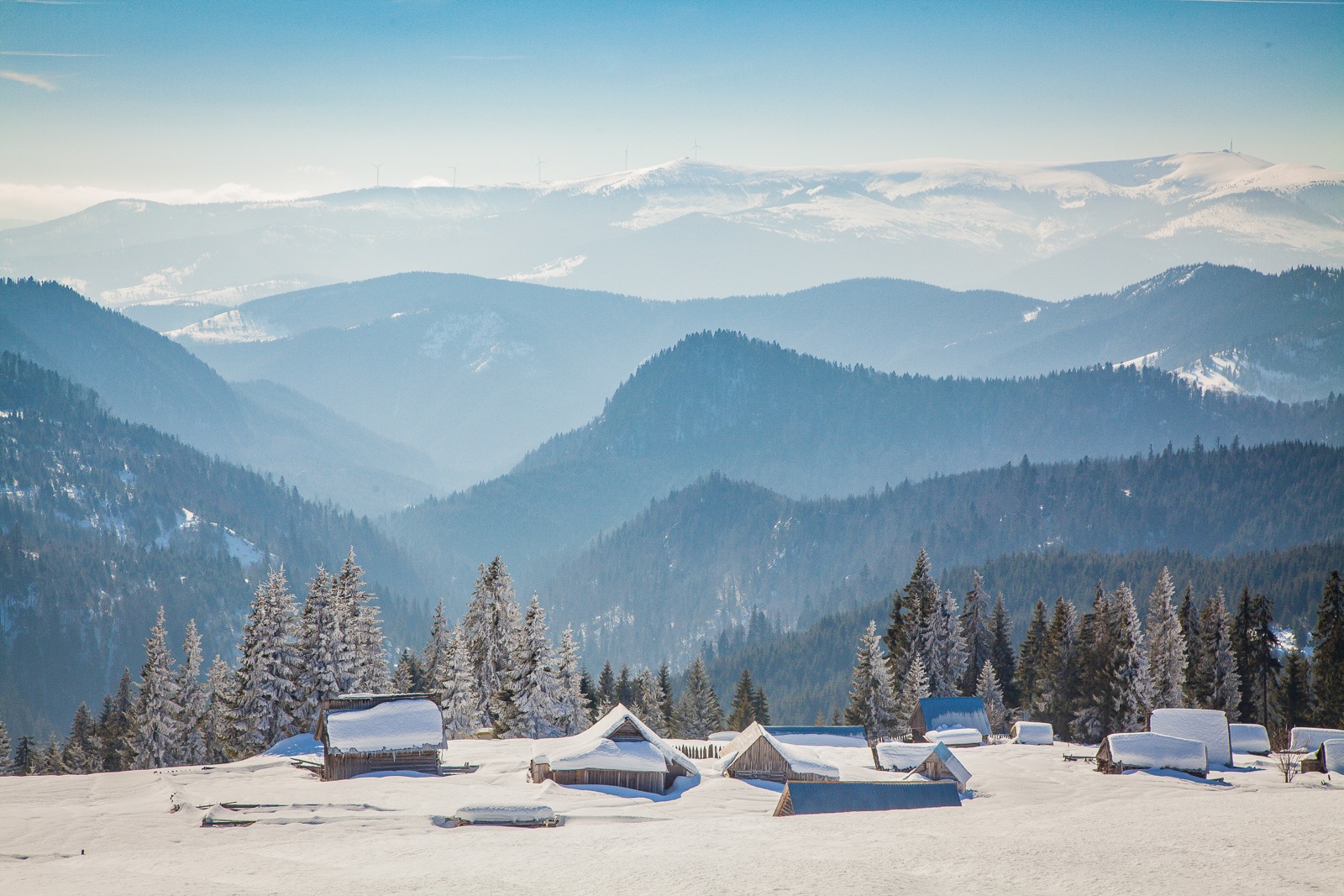 Winter Trivia Quiz Carpathian Mountains, Romania