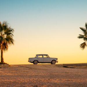 Four Seasons Trivia Quiz Summer