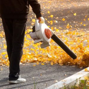 Pick Item For Various Life-Threatening Situations To Kn… Quiz Leaf blower (to blow the tornado away from you)