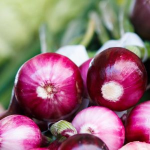 O Trivia Quiz Onion