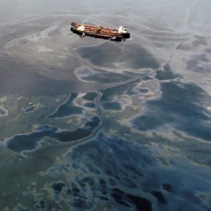 Marine Biology Trivia Quiz Oil spills