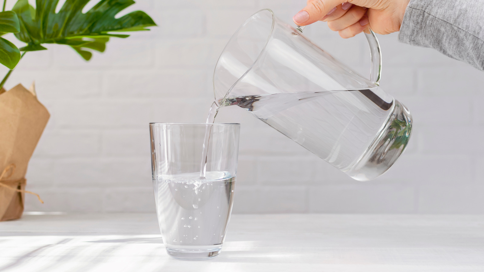 So You’re a Trivia Expert? Prove It by Answering All 22 of These True/False Questions Correctly Water glass