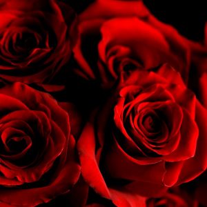Hot Chocolate Quiz February