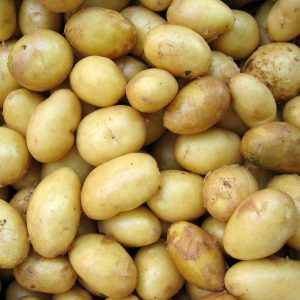World Food Day Quiz Potato
