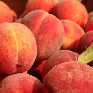 Orange Trivia Quiz Peach