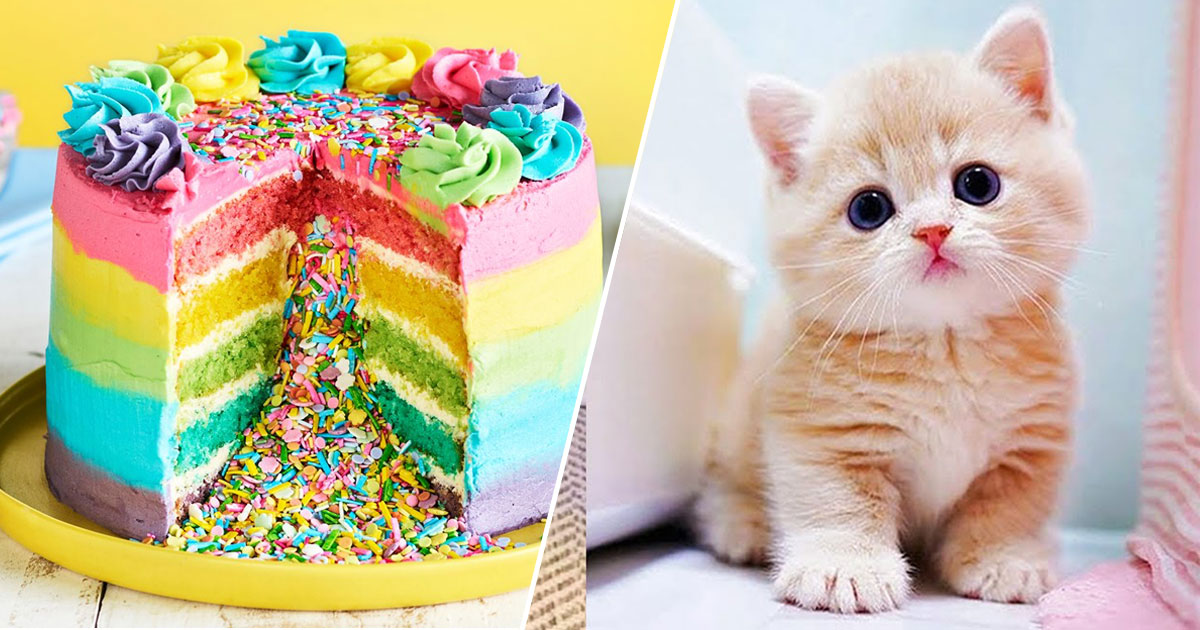 Eat Your Way Through the Rainbow at This 🍰 Desserts-Only Cafe to Find Out If You’re a 🐶 Dog or 🐱 Cat Person