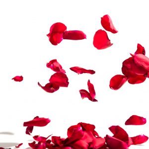 This Calming Quiz Will Tell You What You Need To Hear RN Rose petals