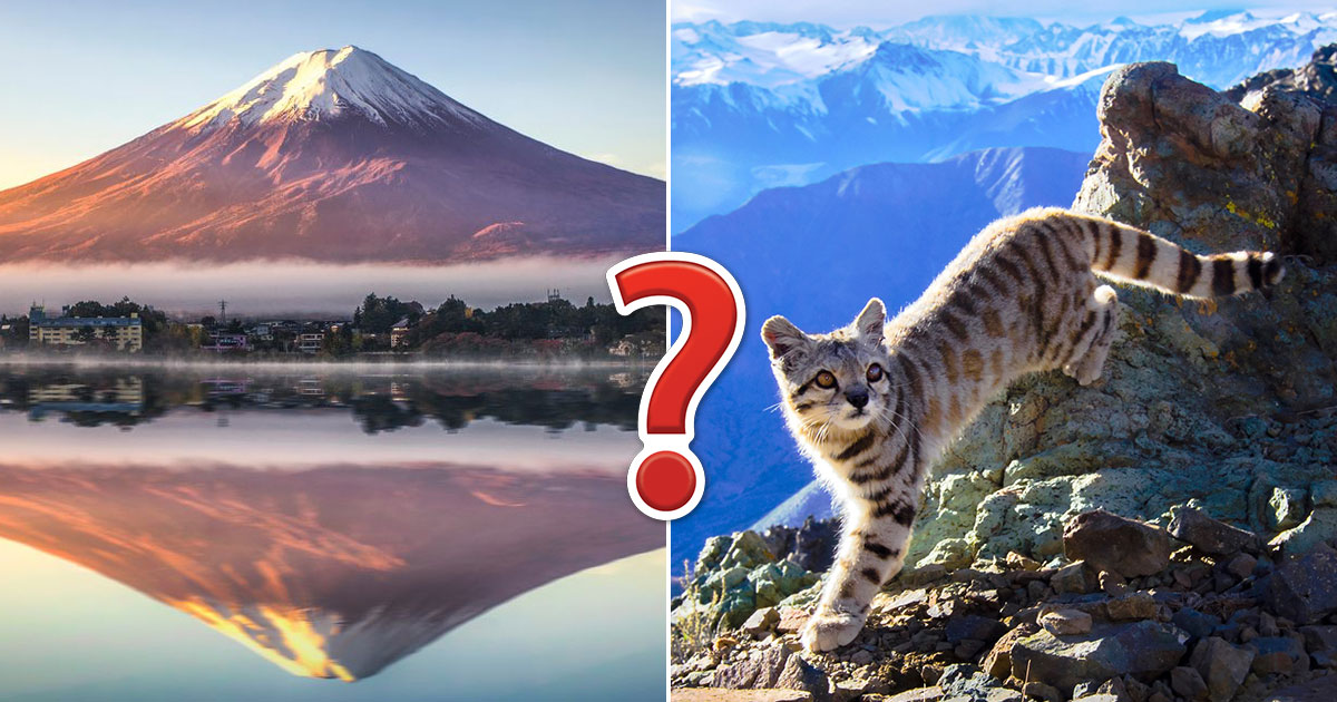 You’re the 🤓 Intelligent Friend If You Can Get 75% On This ⛰️ Genius-Level Mountains Quiz
