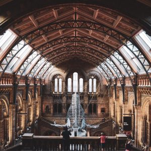 Plan Trip To London To Know When You'll Meet Your Soulm… Quiz Natural History Museum, London