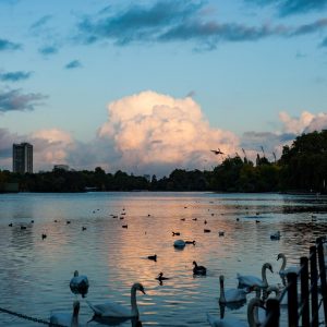 Plan Trip To London To Know When You'll Meet Your Soulm… Quiz Hyde Park