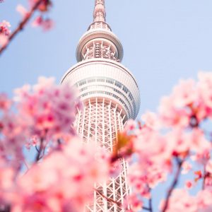 Create a Travel Bucket List ✈️ to Determine What Fantasy World You Are Most Suited for Tokyo, Japan
