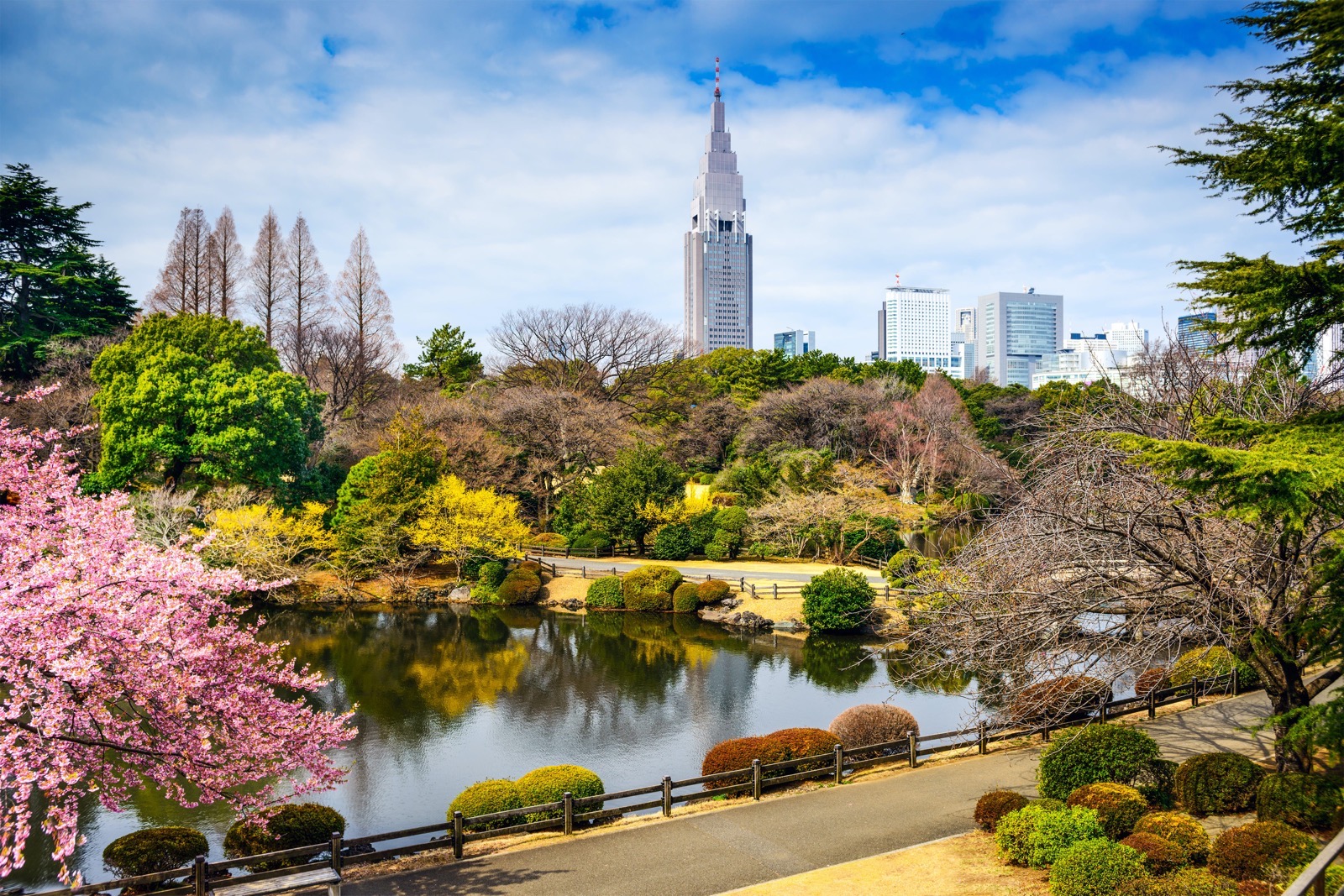 Spring Trivia Quiz Shinjuku Gyoen National Garden, Tokyo, Japan