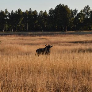 Worldwide Adventure Quiz 🌍: What Does Your Future Look Like? Harare, Zimbabwe