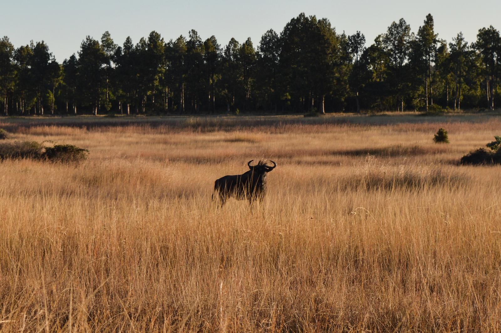 Harare, Zimbabwe