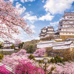 Which March Holiday Are You? Quiz Taking a cultural immersion trip to Japan during cherry blossom season