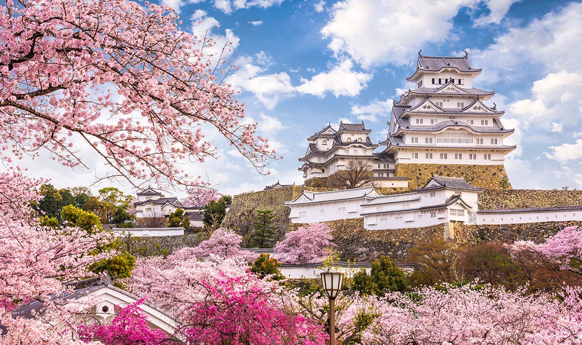 5-Letter Countries Quiz Himeji Castle, Japan pink cherry blossoms sakura
