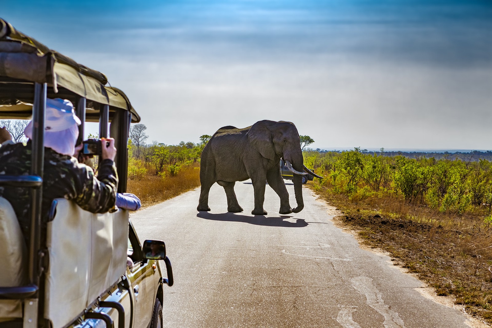 Create a Travel Bucket List ✈️ to Determine What Fantasy World You Are Most Suited for Kruger National Park, South Africa