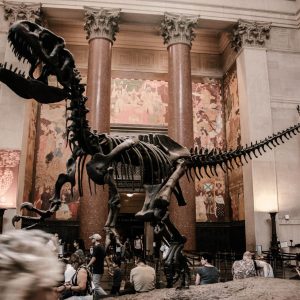 Romantic Places Personality Quiz American Museum of Natural History, United States