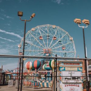 This Dog Trivia Quiz Will Separate Pups From Top Dogs – Are You Ready To Play? Coney Island