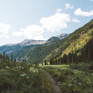 Silver Trivia Quiz Colorado