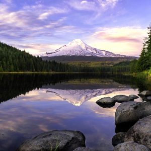 Create Your Dream 🚗 USA Road Trip to Find Out What Season Your Soul Aligns With Oregon