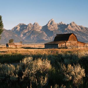 Create Your Dream 🚗 USA Road Trip to Find Out What Season Your Soul Aligns With Wyoming