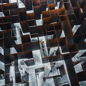True Colors Personality Test Finding unconventional solutions