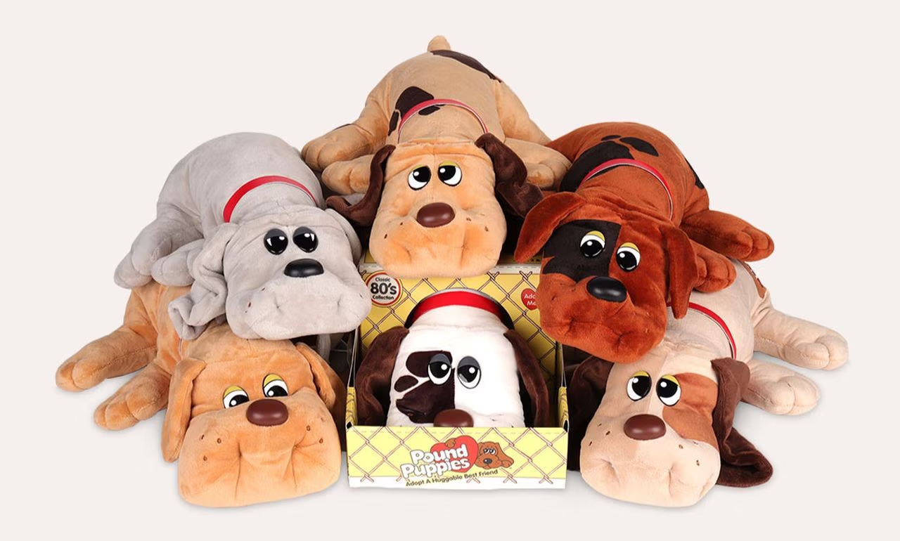 Bring Back Some Old-School Toys and We’ll Guess Your Age With Surprising Accuracy Toy Pound Puppies