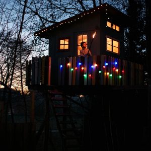 Are You Logic, Emotion, Instinct, Or Imagination? Quiz Jungle treehouse