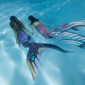 What Type Of Shark Are You? Quiz Mermaids