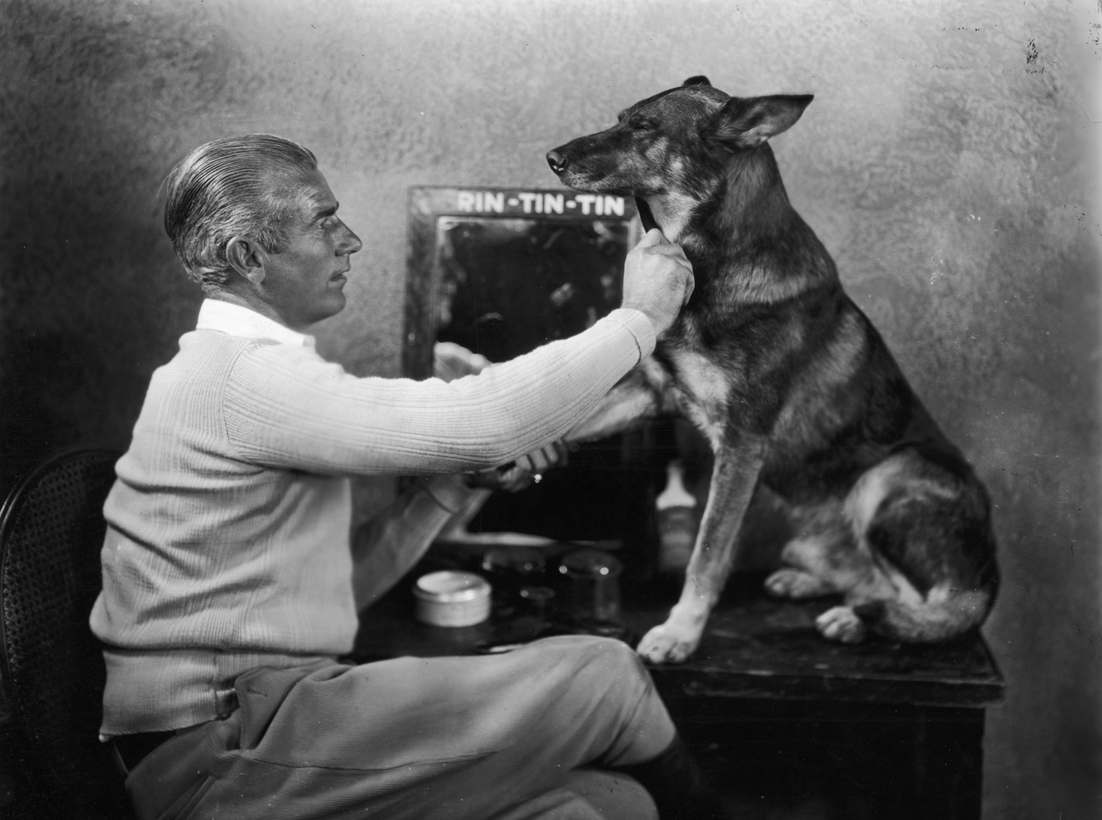 This Dog Trivia Quiz Will Separate the 🐶 Pups from the Top Dogs 🐕 – Are You Ready to Play? Rin Tin Tin