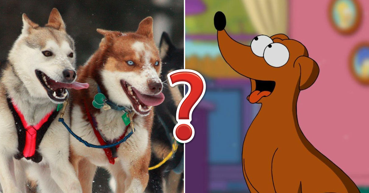 This Dog Trivia Quiz Will Separate the 🐶 Pups from the Top Dogs 🐕 – Are You Ready to Play?