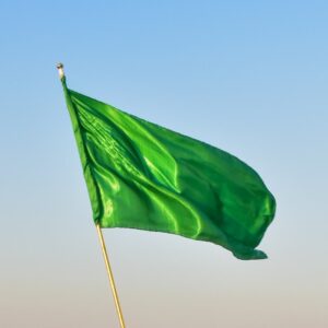 What Element Am I? Quiz Flag