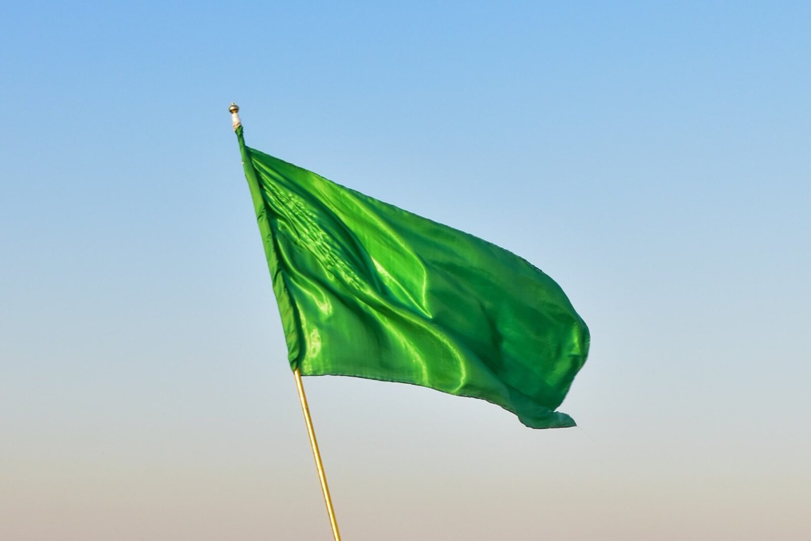 Plain green flag